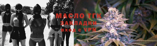 шишки Аркадак