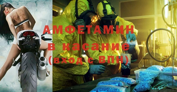 шишки Аркадак