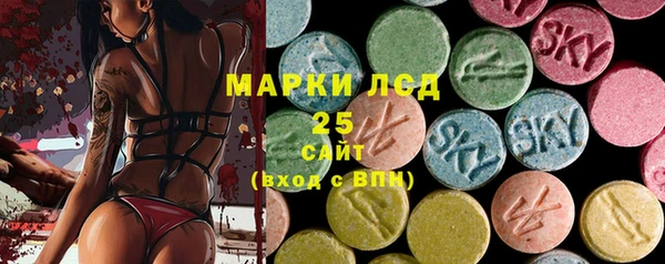 шишки Аркадак
