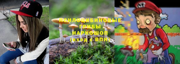 шишки Аркадак