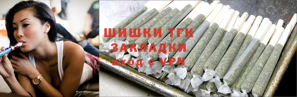 шишки Аркадак