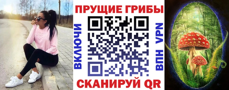 Купить где  Сокол  Галлюциногенные грибы ЛСД 